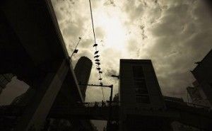 デザインによる知的資産経営：イノベーション・ブランドと知的資産（その2）