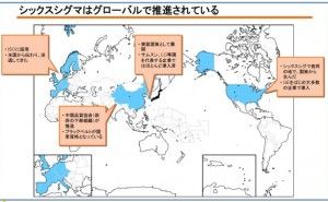 シックスシグマのQ&A