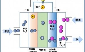 燃料電池 次世代技術（その1）