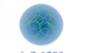 MTシステム超入門（その6）