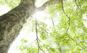 「とにかく書いてみる」とは