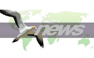 ビジネス・コミュニケーション