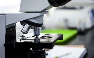 後で使える結果の残し方 新規事業・新商品を生み出す技術戦略（その36）