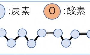 オメガ-3系油脂とその酸化安定性とは