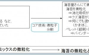 セラミックスから食品へ 特許活用によるイノベーション創出（その5）