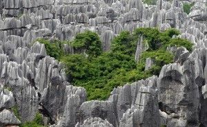 中国工場の実状を知る、管理者について 中国工場の品質改善（その10）