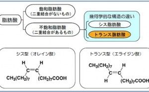 トランス脂肪酸とその現状