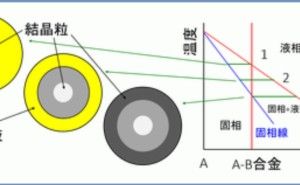 ミクロ偏析 金属材料基礎講座（その19）