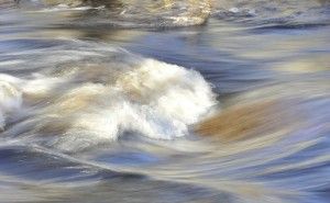 発展段階「期」について 普通の組織をイノベーティブにする処方箋 （その63）