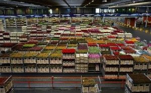 モノの積み方 儲かるメーカー改善の急所101項（その17）