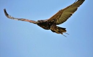 原因結果、逆ピラミッド 普通の組織をイノベーティブにする処方箋 （その74）