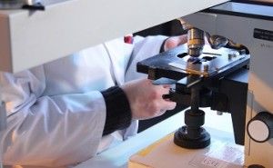 クリーン化の効果を考える（第1回） クリーン化について（その11）