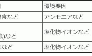 応力腐食割れとは：金属材料基礎講座（その71）