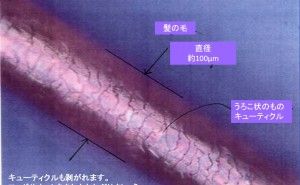 ゴミの見方 クリーン化について（その58）