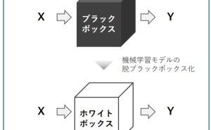 最近注目を浴びてきた説明可能AIとは データ分析講座（その203）