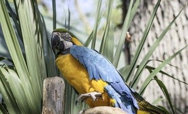 デキる人のモノマネ をして、仕事のパフォーマンスを高めよう
