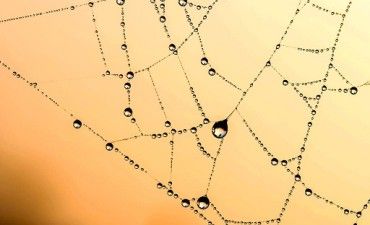 新QC七つ道具 連関図法の使い方【連載記事紹介】