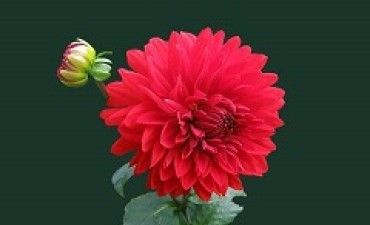 test 2