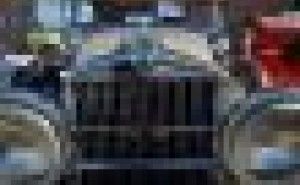 屋内外で発見したことからの発想事例1　-蛍光紙、牛の解体-