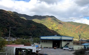 市場ニーズの変化に対応する現場：ものづくりの現場から（堀田カーペット）（その４）
