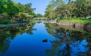 豊洲市場をクリーン化視点で考える