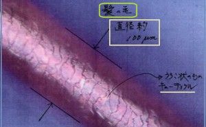 防塵衣と髪の毛のはなし