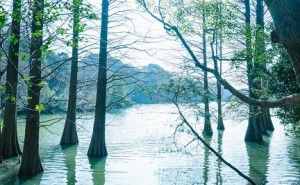 エネルギーマネジメント:新環境経営(その12)　