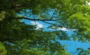 作り過ぎる無駄を減らす :新環境経営 (その17)
