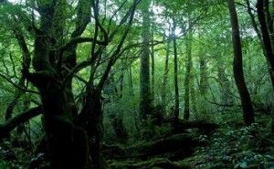 企画プロジェクトが越えるべき2つの難所