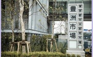 経済性工学で豊洲移転問題を分析する