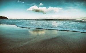 物流業の波動と平準化