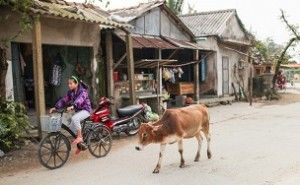 COP21 パリ協定: 新環境経営 (その48)