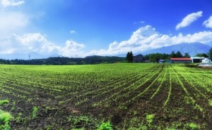 『坂の上の雲』に学ぶ先人の知恵（その8）