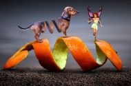 セラミックス３D積層造形の材料、プロセス技術と活用方法