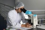 CO2と水素を用いたメタネーション技術開発の現状と今後の展望