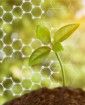 海洋生分解性プラスチックの最新動向