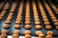 食品系技術者の特許出願/調査/戦略早わかり